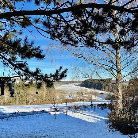 Holiday home Kleine Eifelperle *